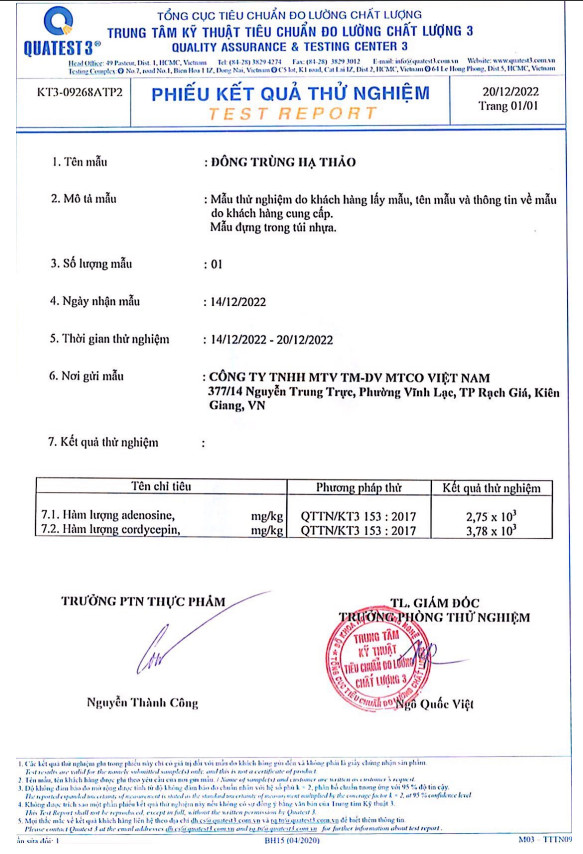 ĐIỂM NỔI BẬT VƯỢT TRỘ